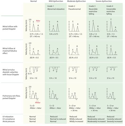 normal echo values echopedia.